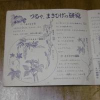 たのしい夏の理科教室　(昭和27年・四年の学習・八月号付録)
