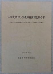 山南遺跡・彼ノ宗遺跡発掘調査報告書　善通寺市内遺跡発掘調査事業に伴う埋蔵文化財発掘調査報告書5　(香川県)