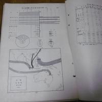 南方地域資源統計地図　東研統計叢書(1) 　