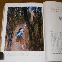 幼年世界文学全集13　あんじゅとずし王・かぐや姫