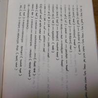 COMPARISON BETWEEN THE DAURIAW LANGUAGE AND THE MONGOLIAN LANGUAGE ダグール語(ダフール語、ダウール語)とモンゴル語の比較