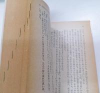 ある愛の物語