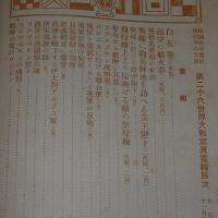 第26　世界大戦写真画報　(欧州戦争実記　増刊　第80号)