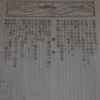 第20　世界大戦写真画報　(欧州戦争実記　増刊　第62号)