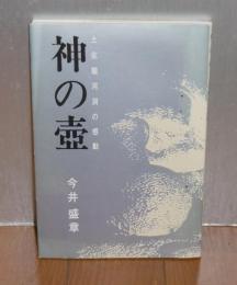 神の壷 : 土佐竜河洞の感動