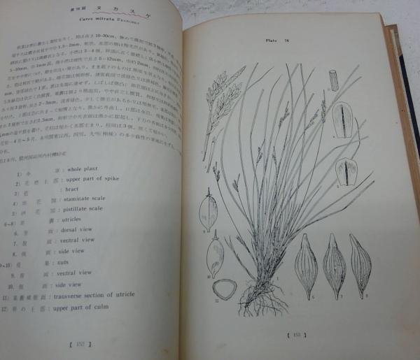 日本スゲ属植物図譜 全3冊(吉川純幹著) / 古本、中古本、古書籍 日本スゲ属植物図譜 全3冊(吉川純幹著) / 古本、中古本、古書籍