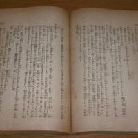 藤原秀衡 : 平泉情史