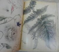 人間国宝 3代 田畑喜八 草花譜 草花譜 : 人間国宝三代田畑喜八(田畑喜八 画 ; 日本染織美術館