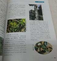 わたしたちの町夜須・植物　(社会科副読本・資料編)