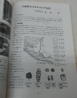 石鎚山とその周辺の自然