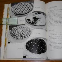 洋菓子全書
