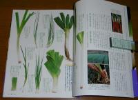 秋・冬の野菜