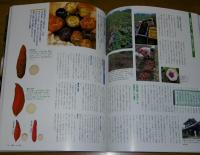 秋・冬の野菜