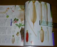 秋・冬の野菜