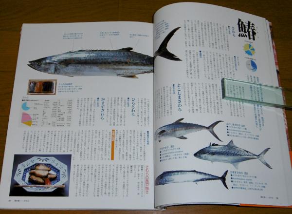 春の魚 講談社 編 古本 中古本 古書籍の通販は 日本の古本屋 日本の古本屋