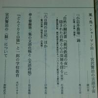 宮沢賢治研究　Annual  Vol.6　