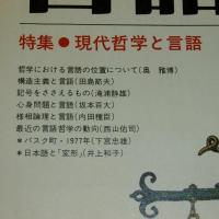 月刊　言語　「特集・現代哲学と言語」　第6巻/第13号