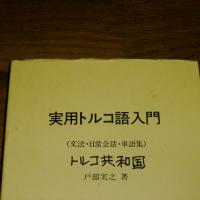 実用トルコ語入門 : 文法・日常会話・単語集