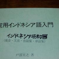 実用インドネシア語入門 : 発音・文法・会話集・単語集