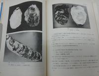 牡蠣 : その知識と調理の実際