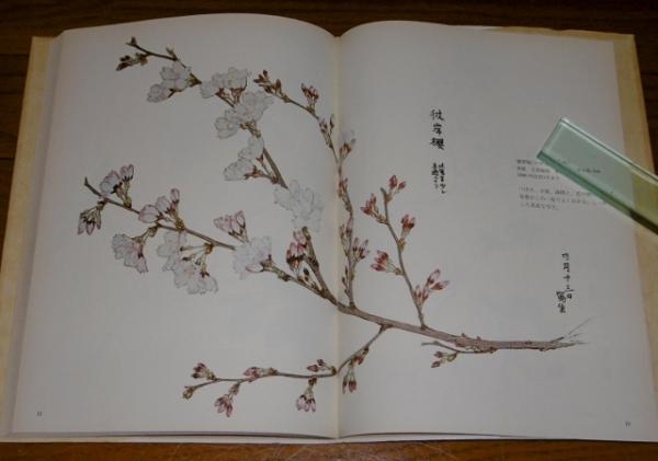 川合玉堂写生帖 花鳥編 / 古本、中古本、古書籍の通販は「日本の