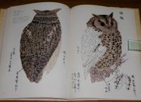 川合玉堂写生帖 花鳥編 | グラフィック社 | ¥540 - 日本の古本屋