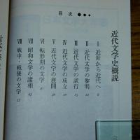 近代文学史必携 別冊國文学 | 三好行雄 編 | 学燈社 | ¥1,296 - 日本の