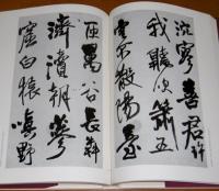 王鐸の書法 【冊篇・條幅篇】 2冊(村上三島 編) / 古本、中古本、古 ... 王鐸の書法 【冊篇・條幅篇】 2冊(村上三島 編) / 古本、中古本、古 ...