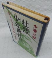 壮烈少年飛行兵 : かえらざる十代の手記