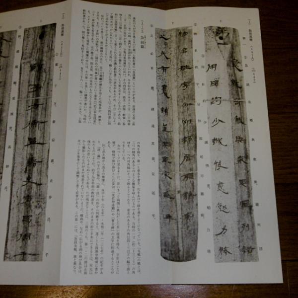 拡大本 木簡隷書編 木簡草書編 (2冊)(佐野光一 編) / 古本、中古本、古