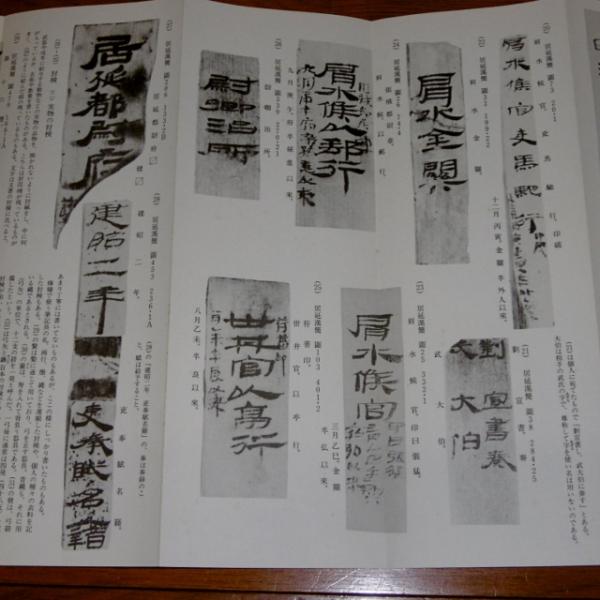 拡大本 木簡隷書編 木簡草書編 (2冊)(佐野光一 編) / 古本、中古