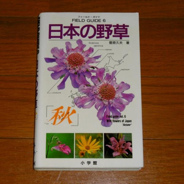 日本の野草 菅原久夫 著 ぶっくいん高知 古書部 古本 中古本 古書籍の通販は 日本の古本屋 日本の古本屋 日本の野草 菅原久夫 著 ぶっくいん高知 古書部 古本 中古本 古書籍の通販は 日本の古本屋 日本の古本屋