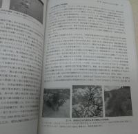 鳥取砂丘学