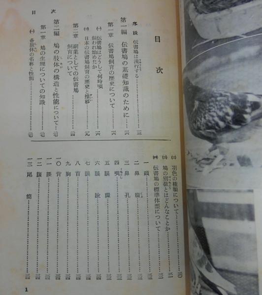 伝書鳩の飼い方と訓練の仕方 上野修一郎 著 古本 中古本 古書籍の通販は 日本の古本屋 日本の古本屋 伝書鳩の飼い方と訓練の仕方 上野修一郎 著 古本 中古本 古書籍の通販は 日本の古本屋 日本の古本屋