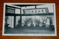 絵葉書　「得月楼本店鉢梅絵葉書　５枚組　(戦前)」　