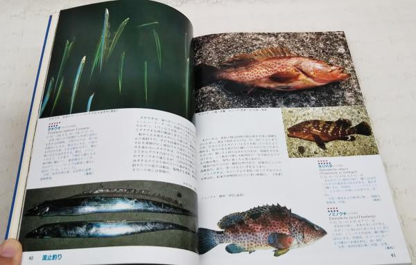 さかな大図鑑(荒賀忠一 [ほか]著 ; 小西和人 編) / 古本、中古本
