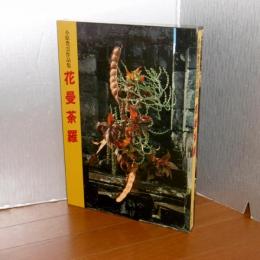 花曼荼羅 : 小原豊雲作品集