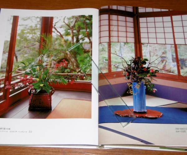 花信風 : 泉谷豊宣作品集(泉谷豊宣 著) / 古本、中古本、古書籍の通販