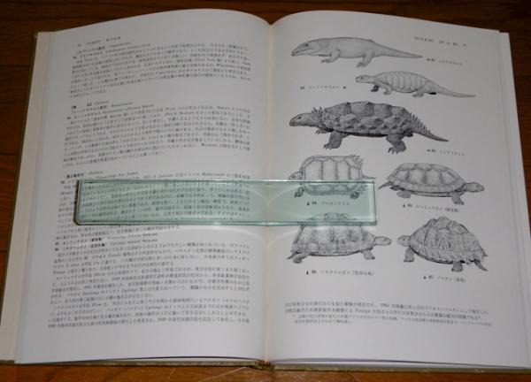 古脊椎動物図鑑(鹿間時夫 著 ; 藪内正幸 画) / 古本、中古本、古