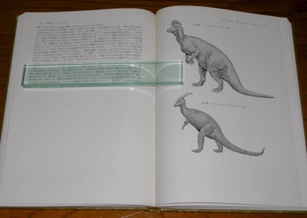 古脊椎動物図鑑(鹿間時夫 著 ; 藪内正幸 画) / 古本、中古本、古