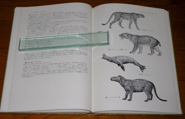 【中古本】動物解剖図 シートン動物解剖図 | E. T. シートン, 安子, 上野 |本 | 通販