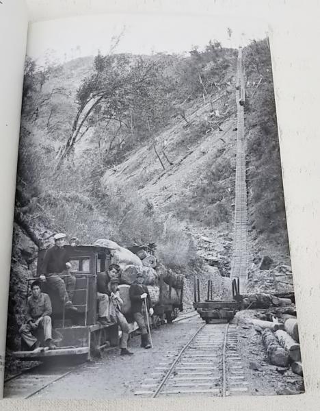 魚梁瀬森林鉄道(舛本成行 著 ; 寺田正 写真) / 古本、中古本、古書籍の