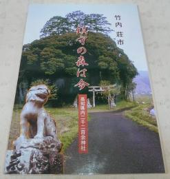 鎮守の森は今 : 高知県内二千二百余神社