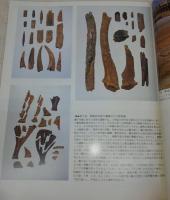 環境考古学　<日本の美術　No.423>