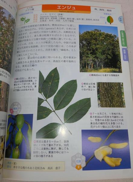 5☆大好評 四国の樹木観察図鑑 葉で引く ノンフィクション