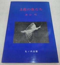 土佐の魚たち