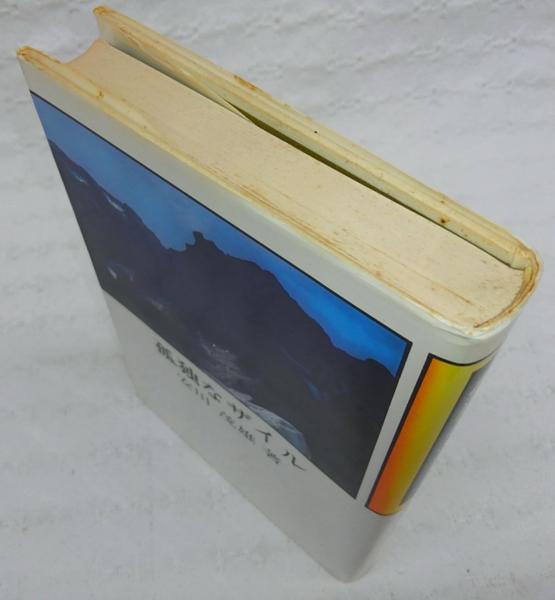 孤独なザイル(安川茂雄 著) / 古本、中古本、古書籍の通販は「日本の 