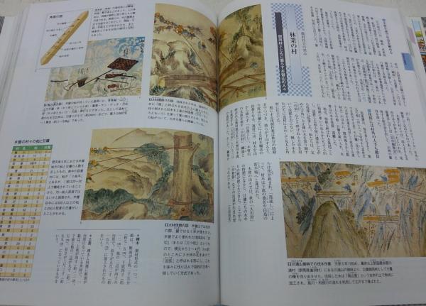ビジュアル・ワイド江戸時代館 | 大石 学 |本 | 通販 | Amazon