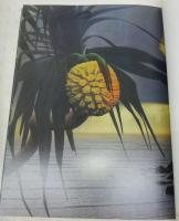 田中一村作品集 : NHK日曜美術館「黒潮の画譜」