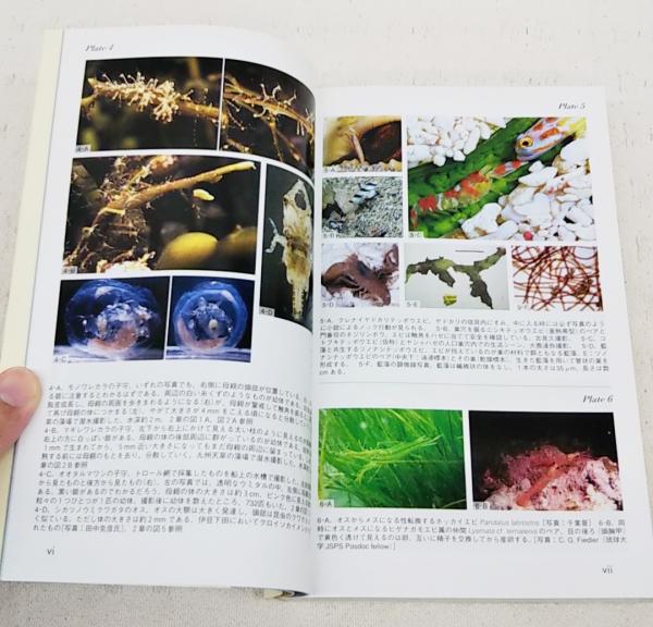 エビ・カニ関連書籍 甲殻類学: エビ・カニとその仲間の世界 | 朝倉 彰 |本 | 通販